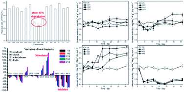 Graphical abstract: Ecological and enzymatic responses to petroleum contamination