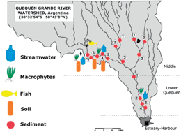 Graphical abstract: Organic pollutant levels in an agricultural watershed: the importance of analyzing multiple matrices for assessing streamwater pollution