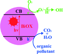 Graphical abstract: Recent advances in BiOX (X = Cl, Br and I) photocatalysts: synthesis, modification, facet effects and mechanisms