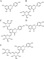 Graphical abstract: Apple procyanidins affect several members of the ErbB receptor tyrosine kinase family in vitro