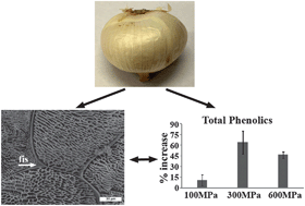 Graphical abstract: Changes in the structure and antioxidant properties of onions by high pressure treatment