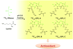 Graphical abstract: Formation mechanism and characterization of dilysyl-dipyrrolones, the Maillard-type yellow pigments