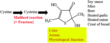 Graphical abstract: Formation and distribution of 2,4-dihydroxy-2,5-dimethyl-3(2H)-thiophenone, a pigment, an aroma and a biologically active compound formed by the Maillard reaction, in foods and beverages