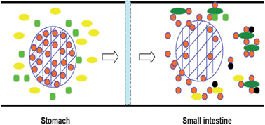 Graphical abstract: Microencapsulation of tannic acid for oral administration to inhibit carbohydrate digestion in the gastrointestinal tract