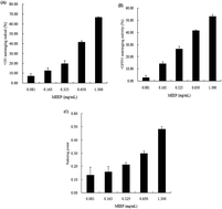 Graphical abstract: Evaluation of the antioxidant activity of extracellular polysaccharides from Morchella esculenta