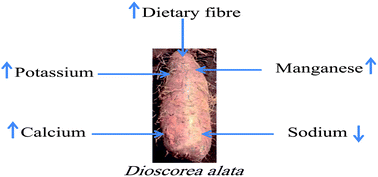 Graphical abstract: Potential health benefits of water yam (Dioscorea alata)