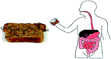 Graphical abstract: Comparison of postprandial phenolic acid excretions and glucose responses after ingestion of breads with bioprocessed or native rye bran