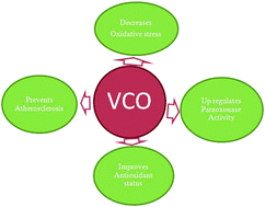 Graphical abstract: Effect of virgin coconut oil enriched diet on the antioxidant status and paraoxonase 1 activity in ameliorating the oxidative stress in rats – a comparative study