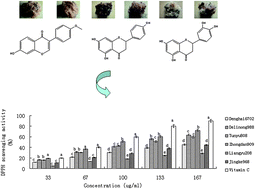 Graphical abstract: Comparative studies on the constituents, antioxidant and anticancer activities of extracts from different varieties of corn silk