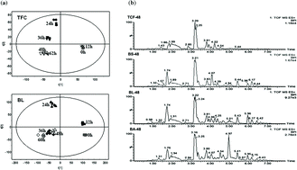 Graphical abstract: Soybean fermentation with Bacillus licheniformis increases insulin sensitizing and insulinotropic activity