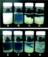 Graphical abstract: Intragastric gelation of whey protein–pectin alters the digestibility of whey protein during in vitro pepsin digestion