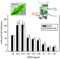 Graphical abstract: Bioefficacy of tea catechins encapsulated in casein micelles tested on a normal mouse cell line (4D/WT) and its cancerous counterpart (D/v-src) before and after in vitro digestion