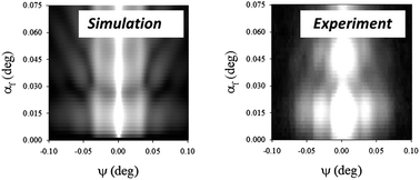 Graphical abstract: Simulation of the shape and size of casein micelles in a film state