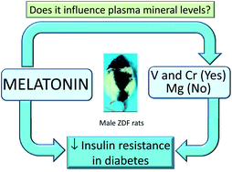 Graphical abstract: Melatonin administration in diabetes: regulation of plasma Cr, V, and Mg in young male Zucker diabetic fatty rats