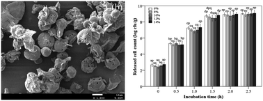 Graphical abstract: Effect of porous starch concentrations on the microbiological characteristics of microencapsulated Lactobacillus acidophilus