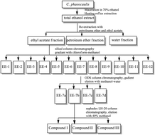 Graphical abstract: Protective effects of diphenylheptanes from Curcuma phaeocaulis Val. on H2O2 induced cell injury