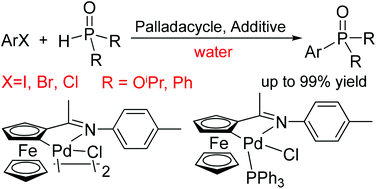 Graphical abstract: Palladacycle-catalyzed phosphonation of aryl halides in neat water