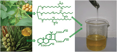 Graphical abstract: Synthesis and properties of full bio-based thermosetting resins from rosin acid and soybean oil: the role of rosin acid derivatives