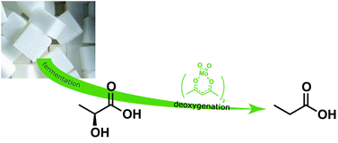 Graphical abstract: Biopropionic acid production via molybdenum-catalyzed deoxygenation of lactic acid