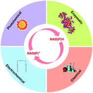 Graphical abstract: Methods for the regeneration of nicotinamide coenzymes