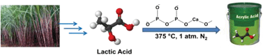 Graphical abstract: Catalytic dehydration of lactic acid to acrylic acid using calcium hydroxyapatite catalysts