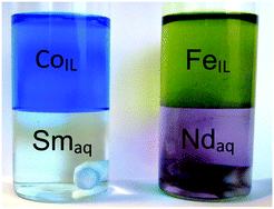 Graphical abstract: Removal of transition metals from rare earths by solvent extraction with an undiluted phosphonium ionic liquid: separations relevant to rare-earth magnet recycling