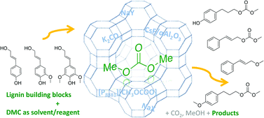 Graphical abstract: Reactions of p-coumaryl alcohol model compounds with dimethyl carbonate. Towards the upgrading of lignin building blocks