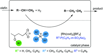 Graphical abstract: Rhodium-catalyzed hydrogenation of olefins in γ-valerolactone-based ionic liquids