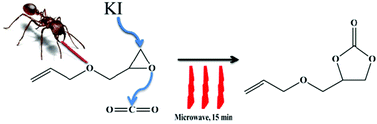 Graphical abstract: Microwave-assisted synthesis of cyclic carbonates by a formic acid/KI catalytic system