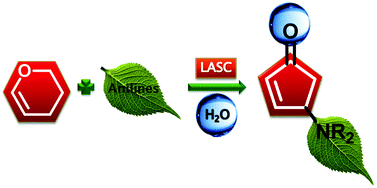 Graphical abstract: Lewis acid–surfactant-combined catalyzed synthesis of 4-aminocyclopentenones from glycals in water