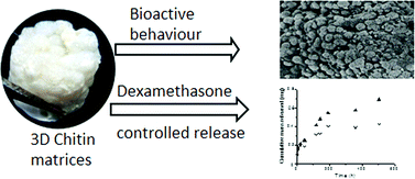 Graphical abstract: Design and functionalization of chitin-based microsphere scaffolds