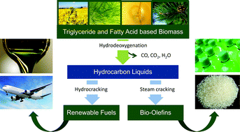 Graphical abstract: Production of bio-ethene and propene: alternatives for bulk chemicals and polymers