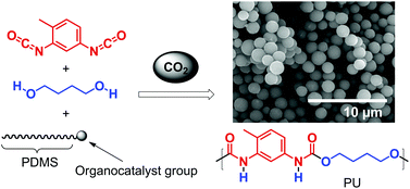 Graphical abstract: Synthesis of polyurethane particles in supercritical carbon dioxide using organocatalysts or organocatalytic surfactants