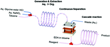 Graphical abstract: Continuous flow synthesis of toxic ethyl diazoacetate for utilization in an integrated microfluidic system