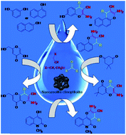Graphical abstract: Nanozeolite clinoptilolite as a highly efficient heterogeneous catalyst for the synthesis of various 2-amino-4H-chromene derivatives in aqueous media