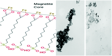 Graphical abstract: Acid monolayer functionalized iron oxide nanoparticles as catalysts for carbohydrate hydrolysis