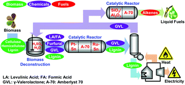 Graphical abstract: A strategy for the simultaneous catalytic conversion of hemicellulose and cellulose from lignocellulosic biomass to liquid transportation fuels