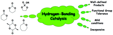 Graphical abstract: Hydrogen-bonding organocatalysts for ring-opening polymerization