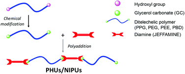 Graphical abstract: α,ω-Di(glycerol carbonate) telechelic polyesters and polyolefins as precursors to polyhydroxyurethanes: an isocyanate-free approach