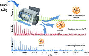 Graphical abstract: Mechanosynthesis of ultra-small monodisperse amine-stabilized gold nanoparticles with controllable size