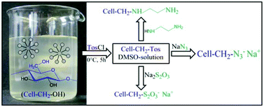 Graphical abstract: Synthesis of soluble cellulose tosylates in an eco-friendly medium
