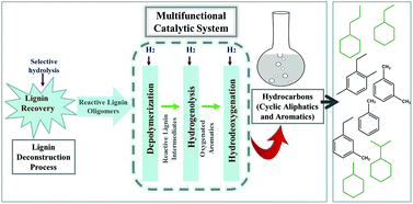 Graphical abstract: Noble-metal catalyzed hydrodeoxygenation of biomass-derived lignin to aromatic hydrocarbons