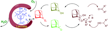 Graphical abstract: A mild and highly efficient laccase-mediator system for aerobic oxidation of alcohols