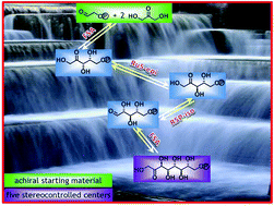 Graphical abstract: Efficient biocatalytic processes for highly valuable terminally phosphorylated C5 to C9 d-ketoses