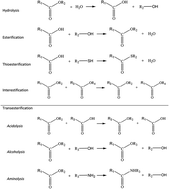 Graphical abstract: The use of lipases as biocatalysts for the epoxidation of fatty acids and phenolic compounds