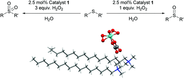 Graphical abstract: A molybdenum based metallomicellar catalyst for controlled and selective sulfoxidation reactions in aqueous medium