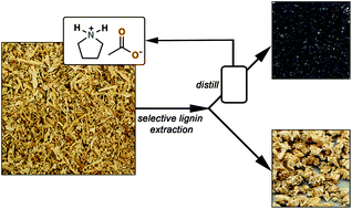 Graphical abstract: Lignin extraction from biomass with protic ionic liquids