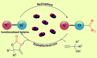 Graphical abstract: Alkoxide-functionalized imidazolium betaines for CO2 activation and catalytic transformation
