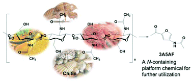 Graphical abstract: Direct conversion of chitin into a N-containing furan derivative