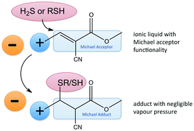 Graphical abstract: Ionic liquids for efficient hydrogen sulfide and thiol scavenging